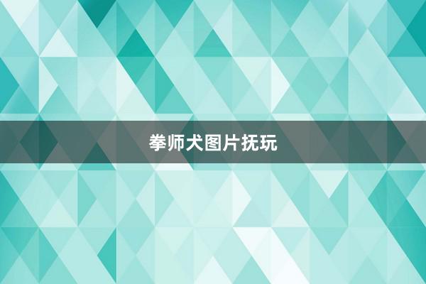 拳师犬图片抚玩