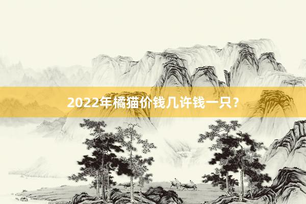 2022年橘猫价钱几许钱一只？